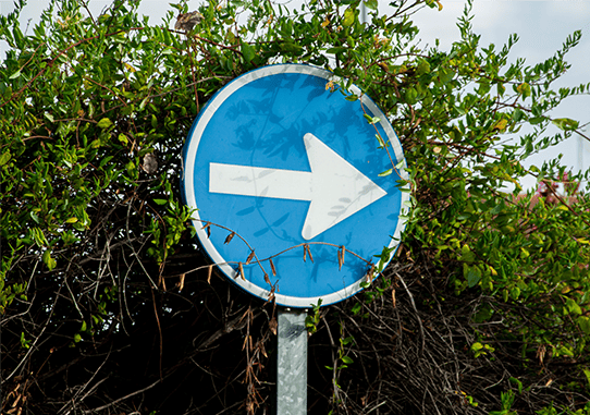 A circular blue road sign with a white arrow pointing right, sitting amidst greenery. It signifies the next steps a learner can take with the help of the SCQF.